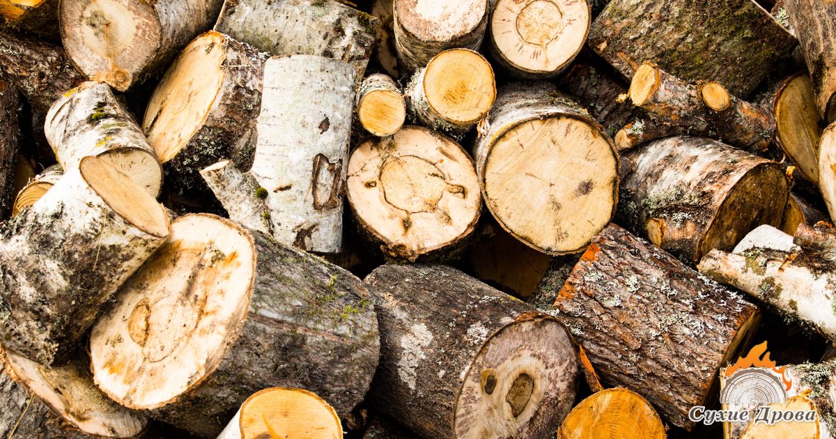 Какие дрова дают больше всего тепла
